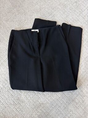 Aritzia Babaton Straight Leg Dress Pants
